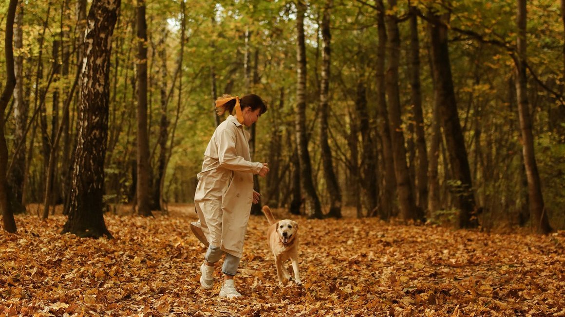 Γυναίκα παίζει με σκύλο στο δάσος